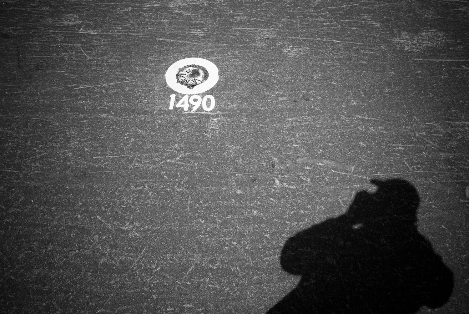 Oracle and Shadow | Mark Lindsay
