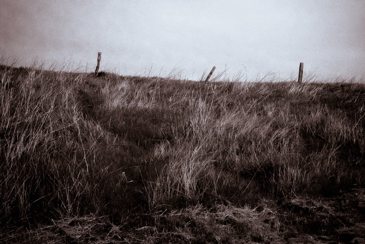 Untitled | Mark Lindsay