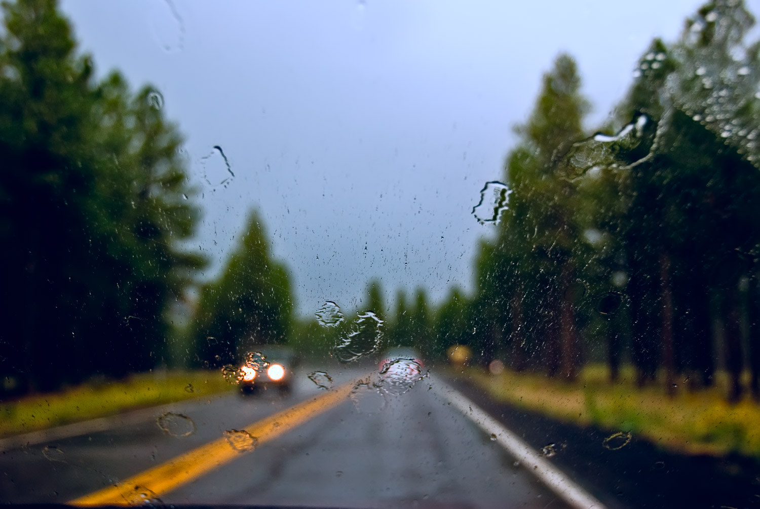Monsoon, Northern Arizona | Mark Lindsay