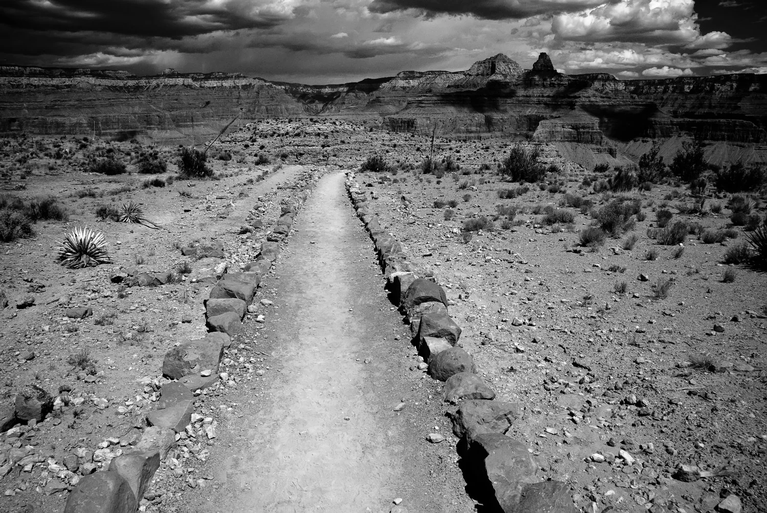 Edge of South Kaibab | Mark Lindsay