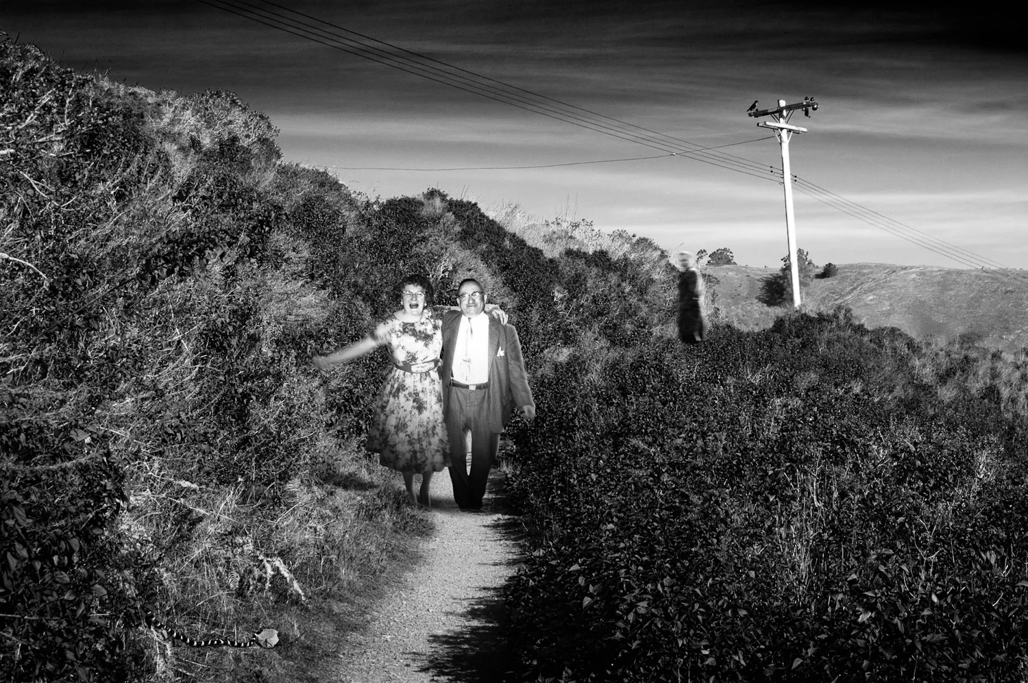 Melancholy and the Snapshot