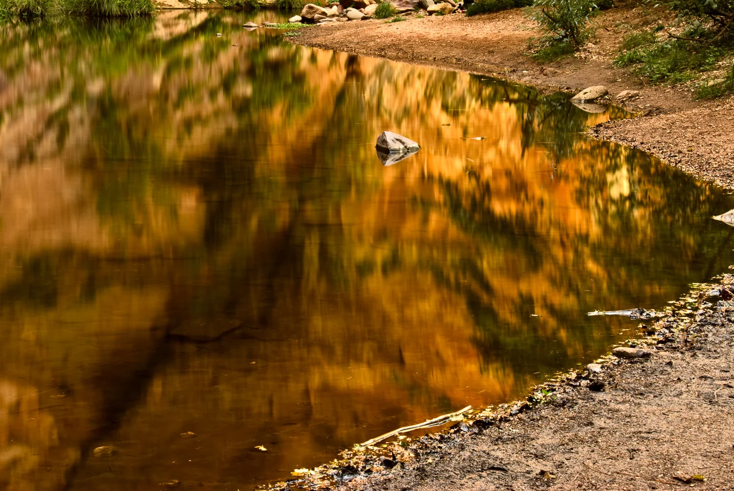 Oak Creek at West Fork | Mark Lindsay