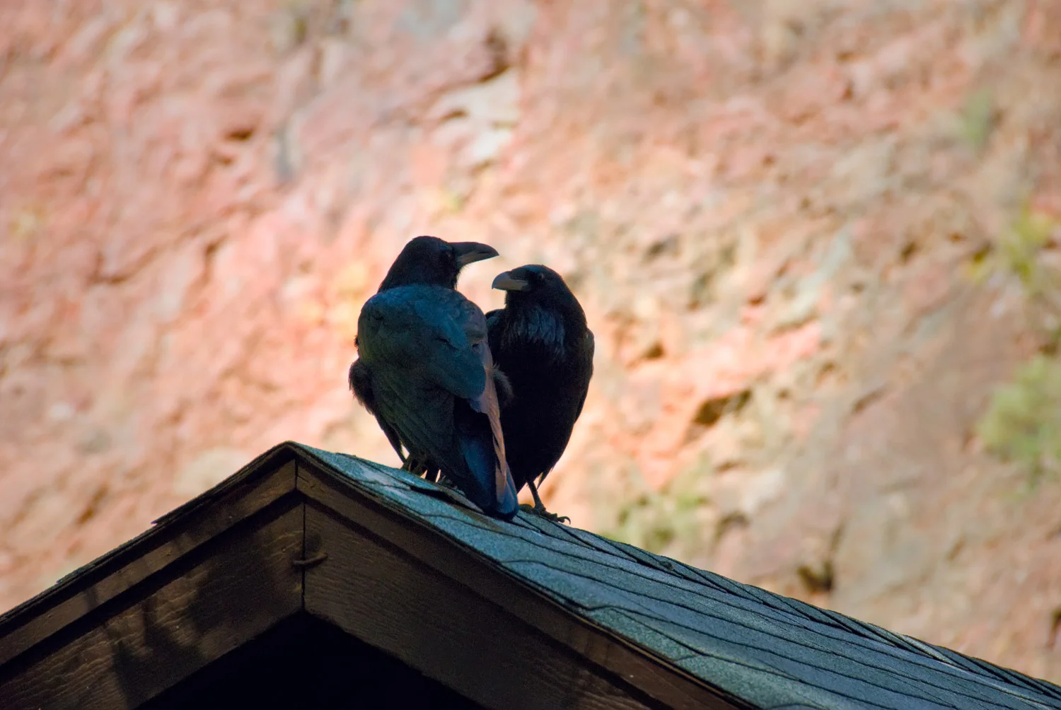 Small Things in Grand Places