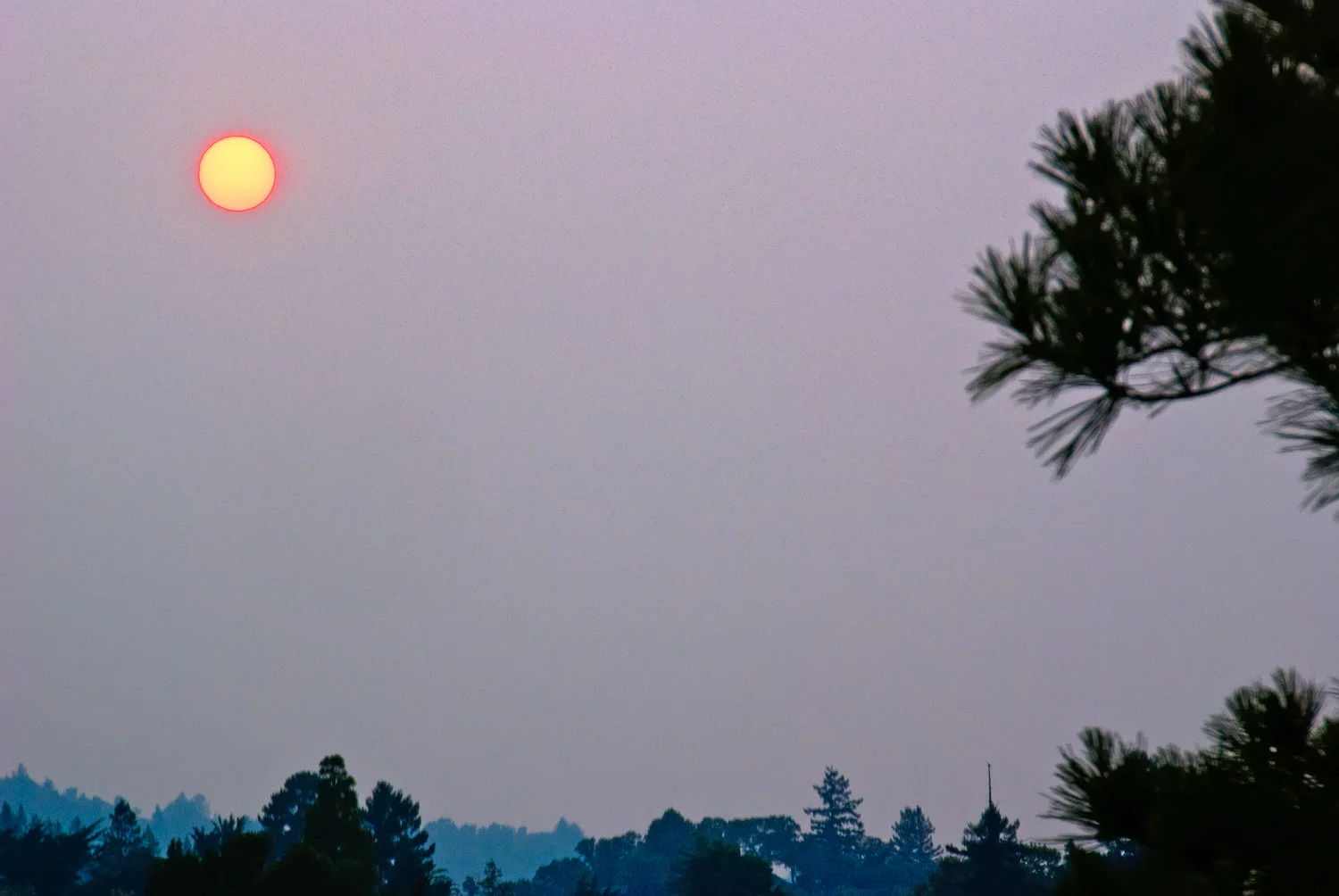 Sun of the Apocalypse | Mark Lindsay