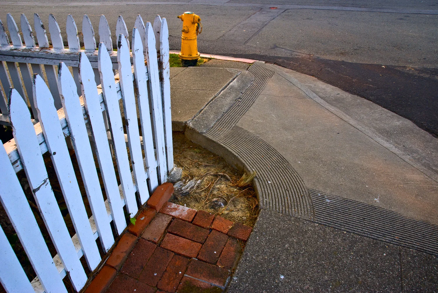 White Fence and Hydrant | Mark Lindsay