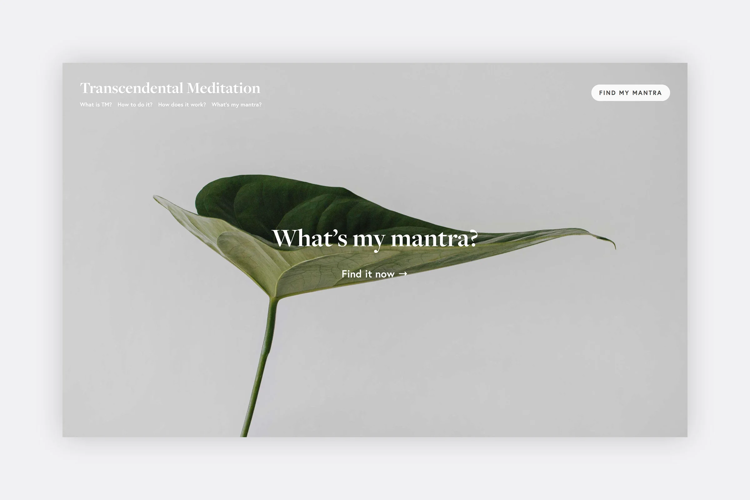 EQ Consulting Co Digital design ( whatistm.com )