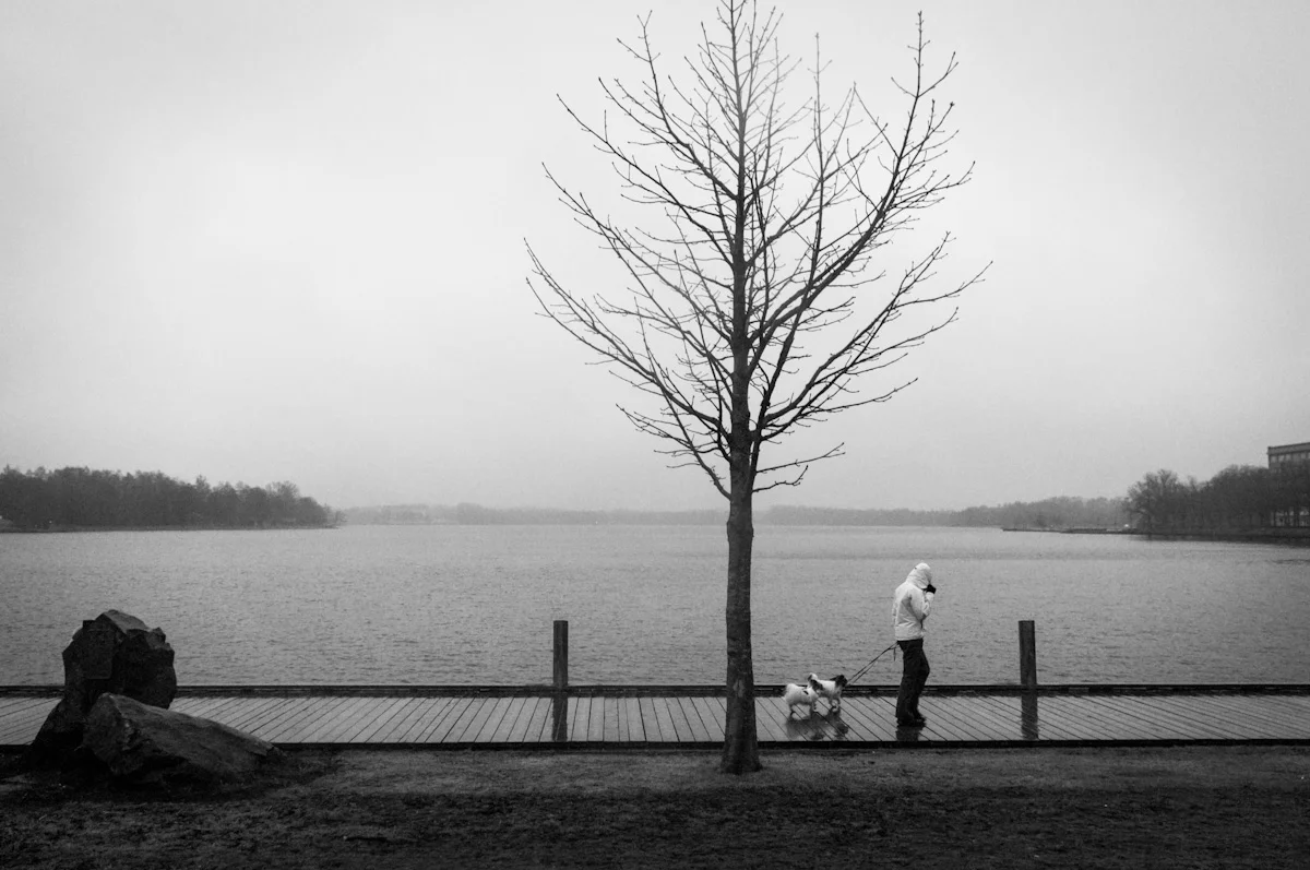 Transient