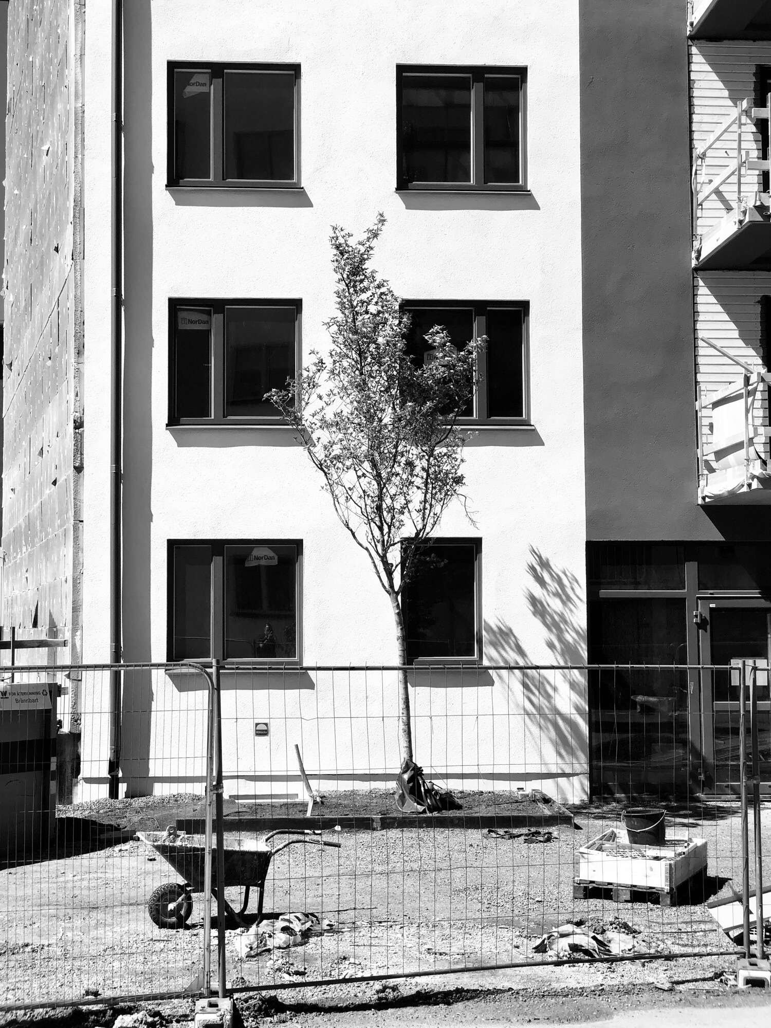 IMG_3352-2.jpeg