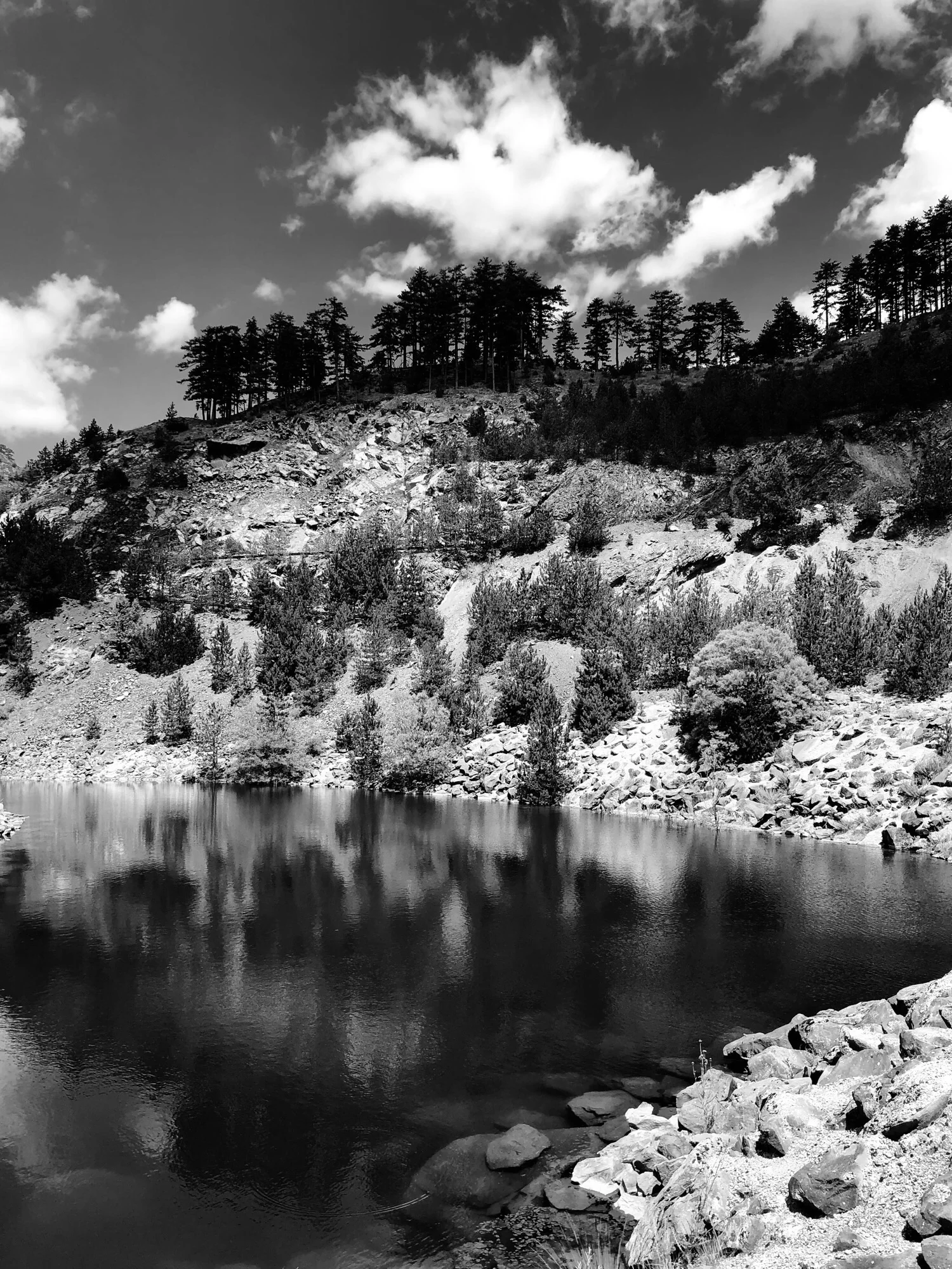 IMG_3884-2.jpeg