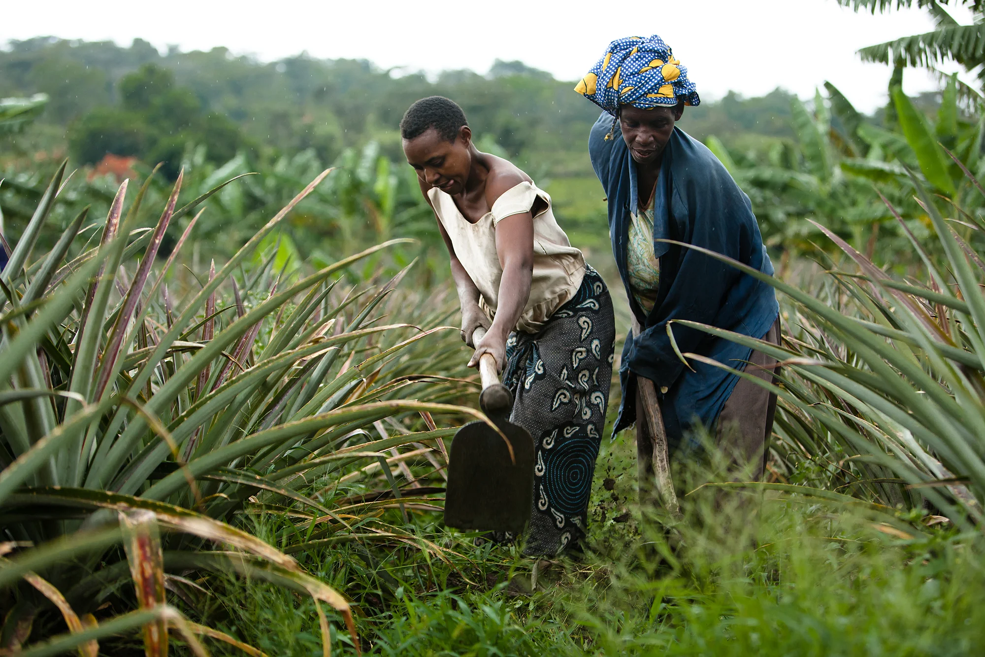 111217-wingard-ug-usaid-0410-web.jpg