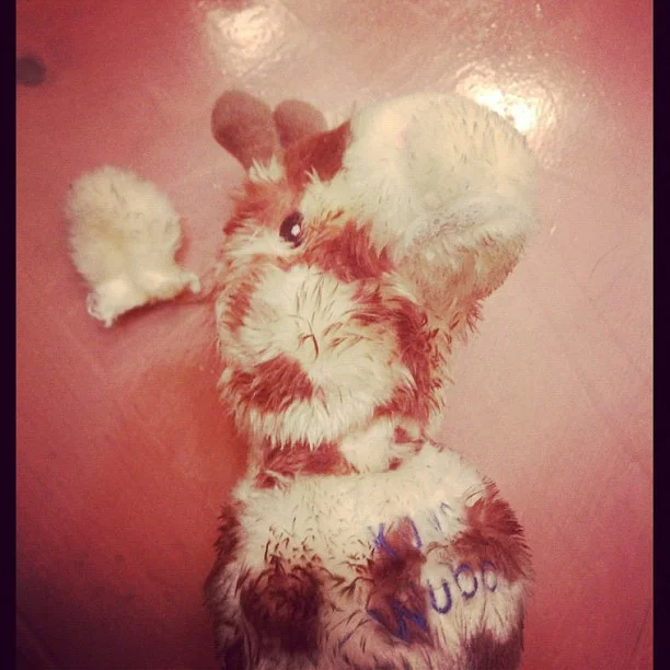 1328058348.jpg