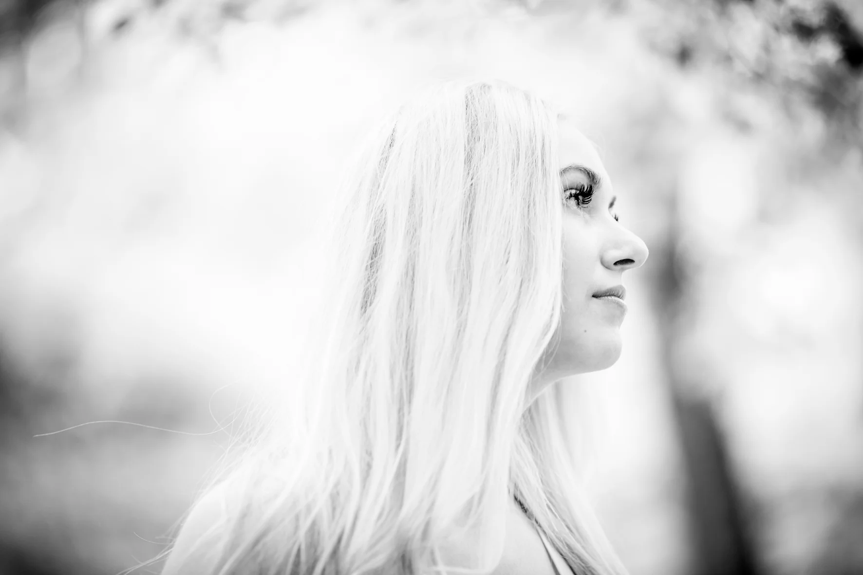C94A9008-2.jpg