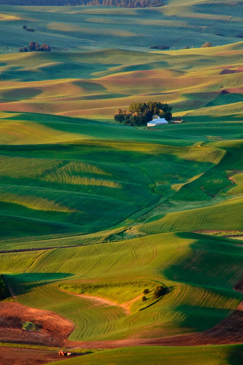 Palouse1-75.jpg