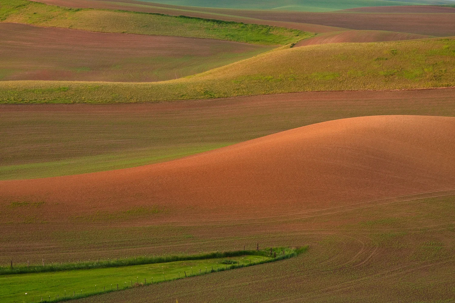 Palouse2-21.jpg