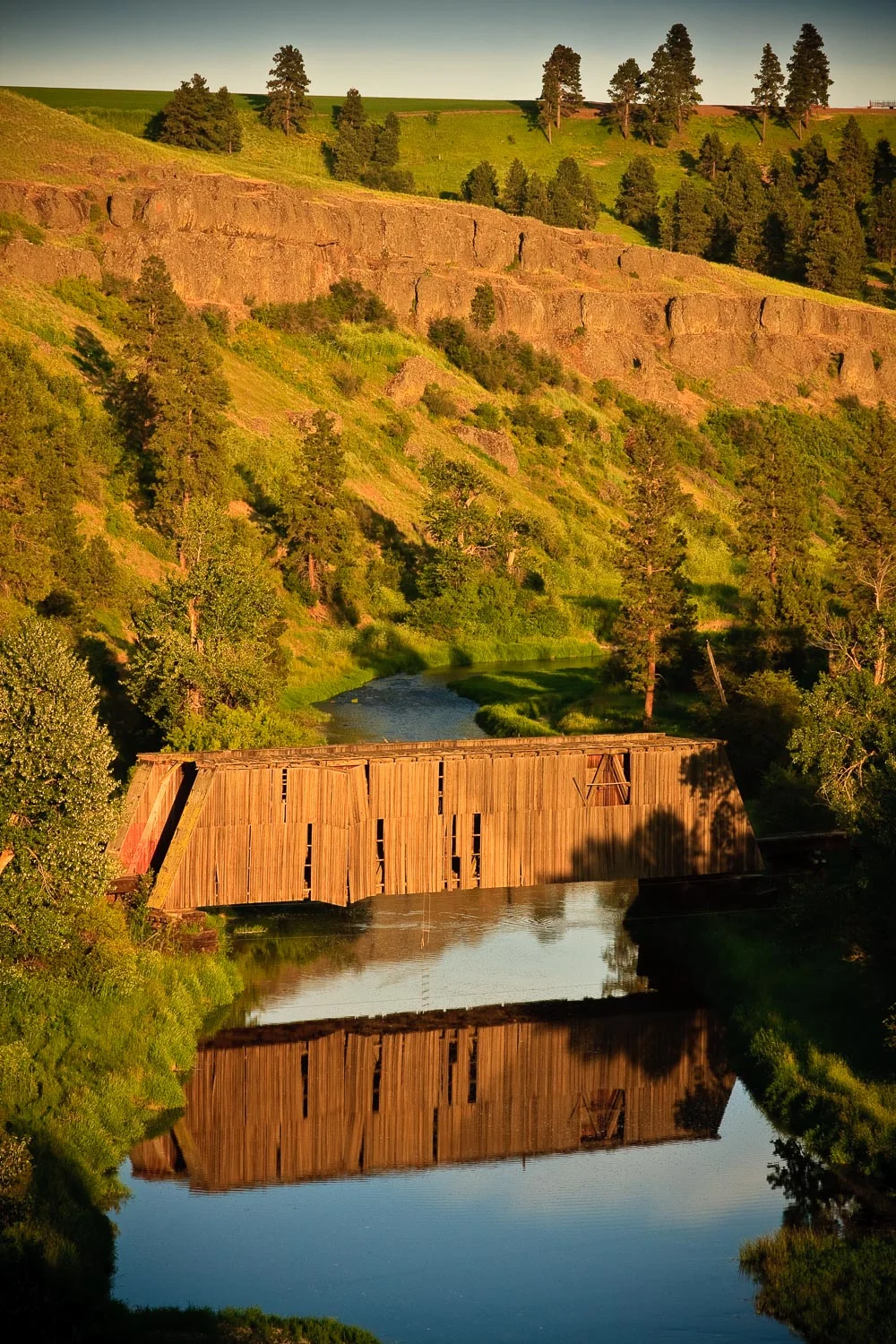 Palouse1-360.jpg