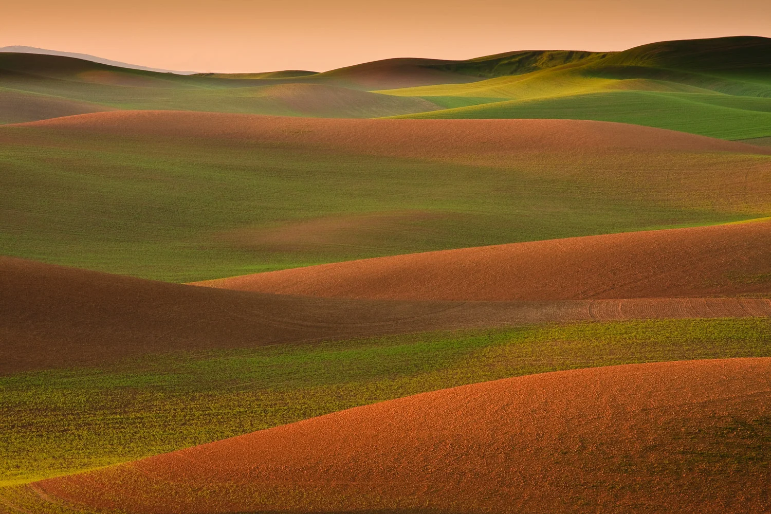Palouse2-39-Edit.jpg