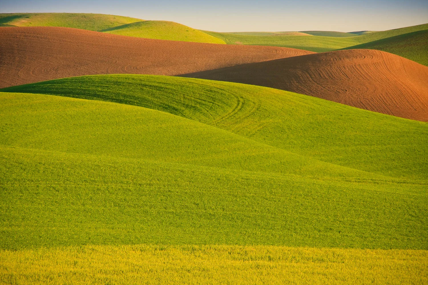 Palouse2-67-Edit.jpg