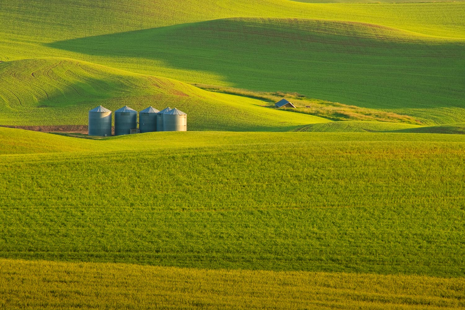 Palouse2-66.jpg