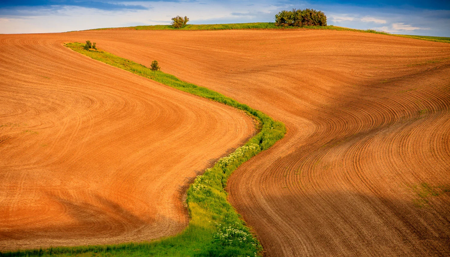 Palouse3-316-2.jpg