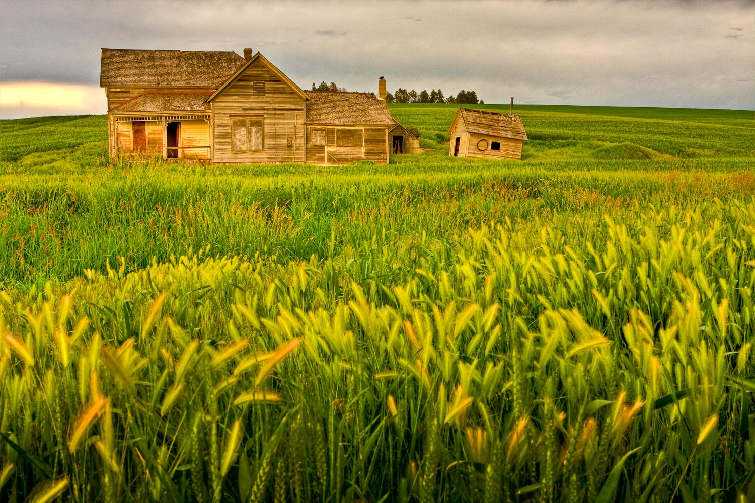 Palouse3-329-HDR.jpg