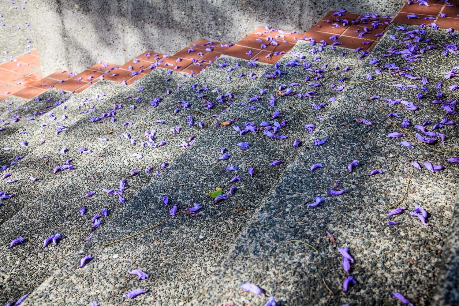 20130322-_MG_9321.jpg