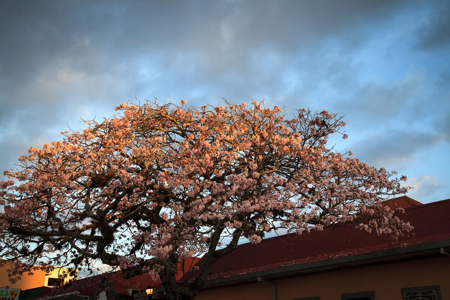 20130328-_MG_0318.jpg