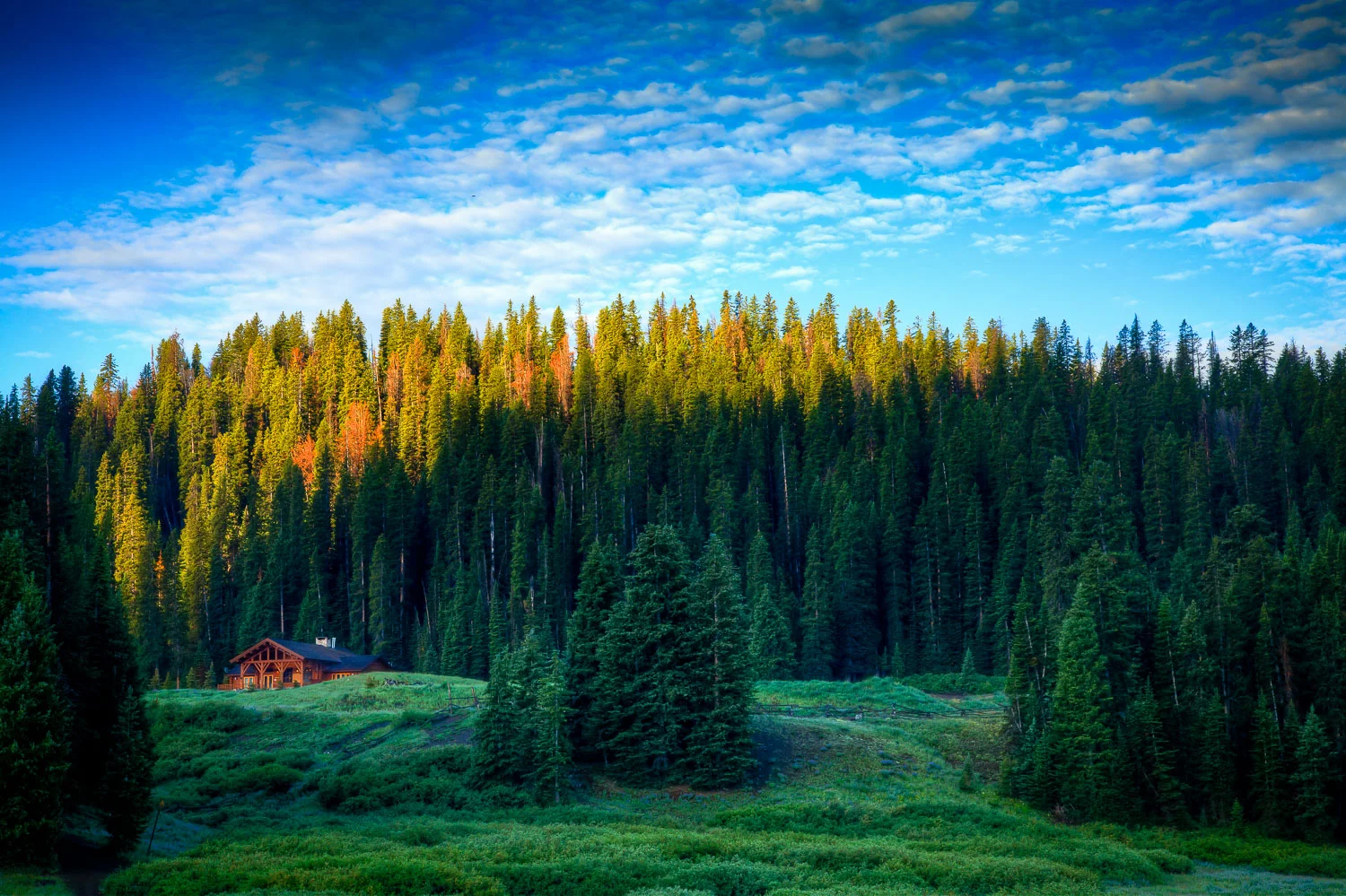 20100729-IMG_6421-HDR.jpg