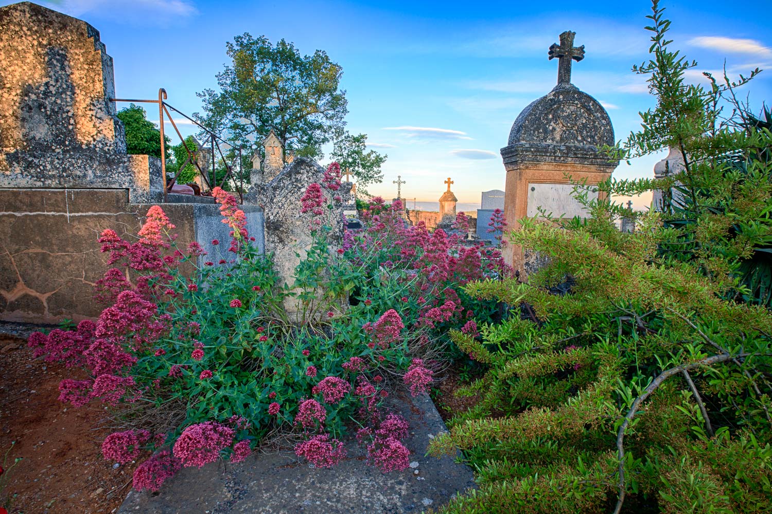 20130610-_MG_1862_HDR.jpg