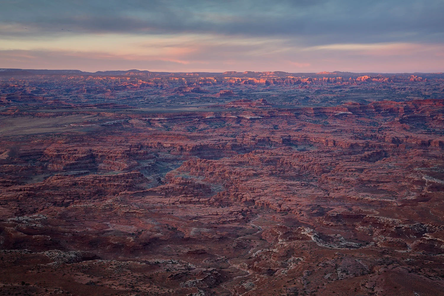 20140321-IMG_7807_08_09_10_11-Edit.jpg