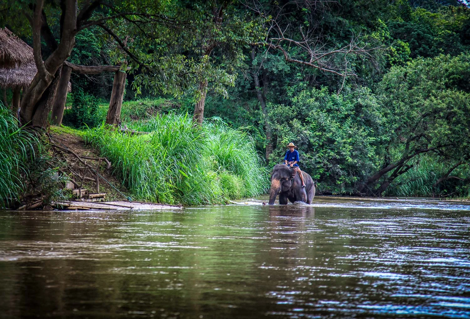 20120605-IMG_5075-Edit.jpg