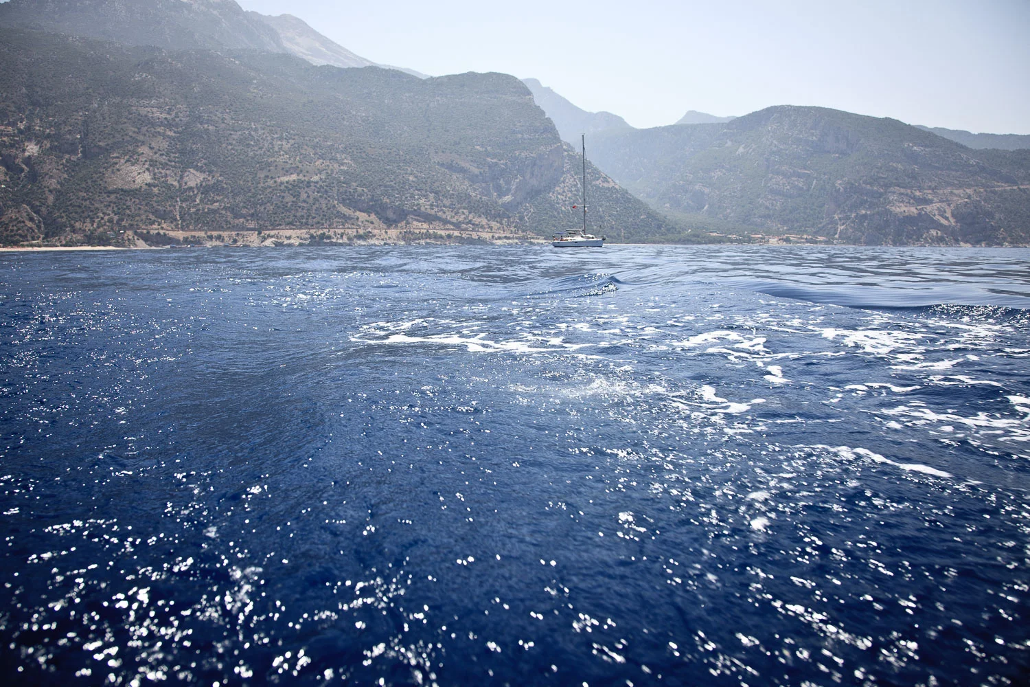 20100616-IMG_5464.jpg