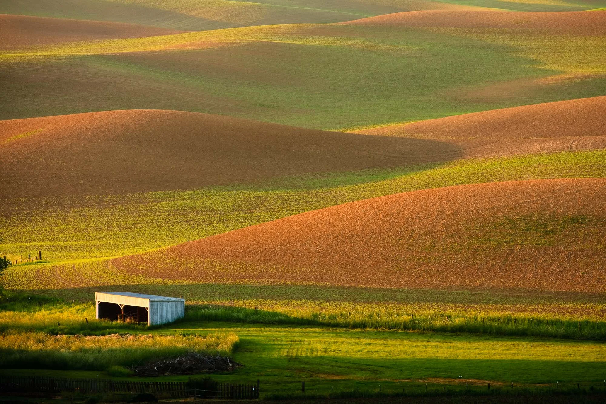 cclemens_portfolio_landscape-03.jpg