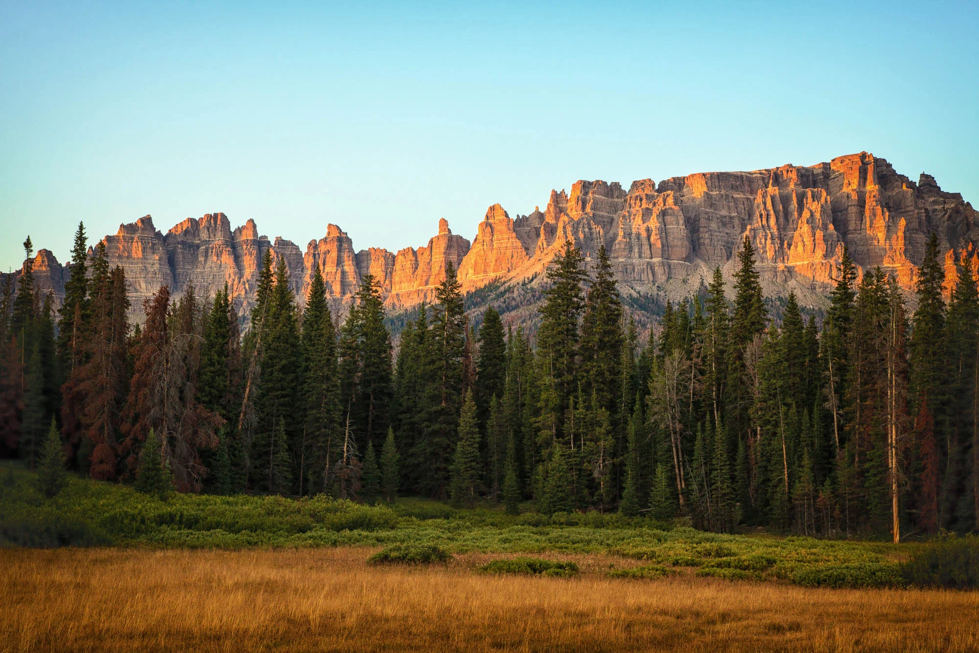 cclemens_portfolio_landscape-10.jpg