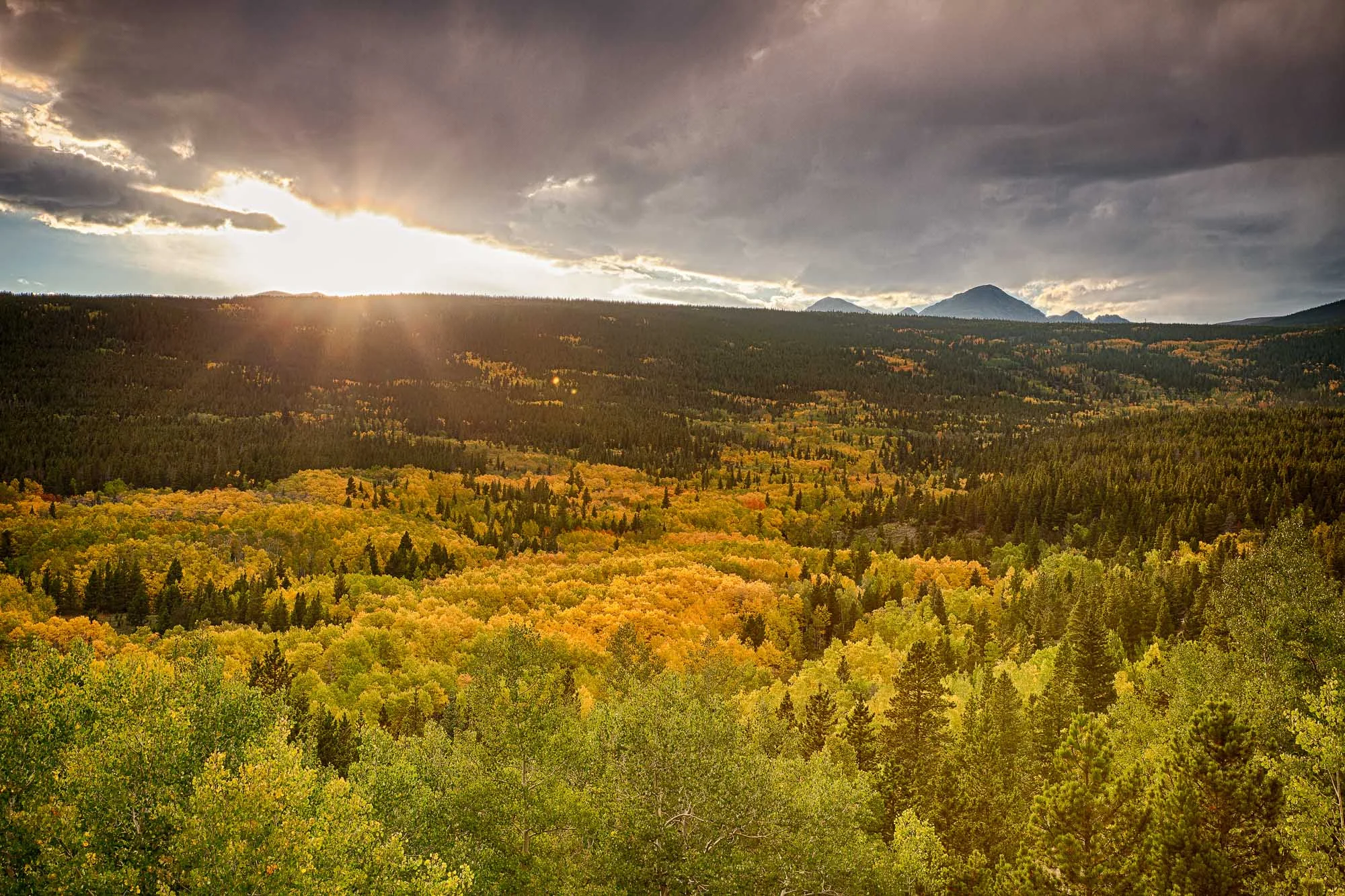 cclemens_portfolio_landscape-13.jpg