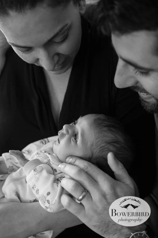 Such a happy family! © Bowerbird Photography 2012; Newborn Photography in Albany.