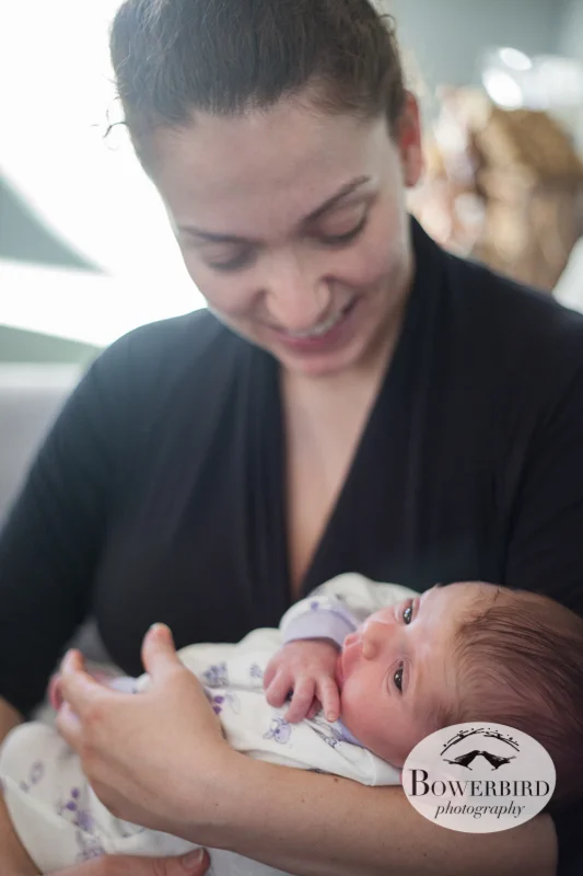 Mama love! © Bowerbird Photography 2012; Newborn Photography in Albany.