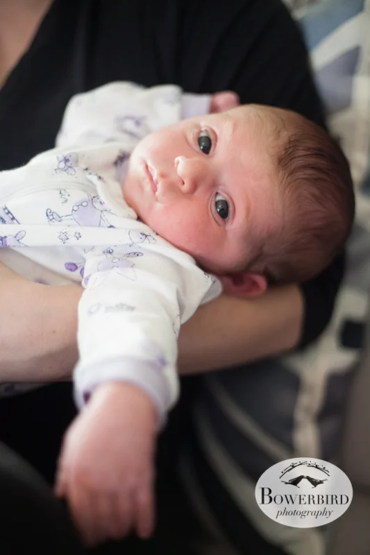 Cate has such big beautiful eyes! © Bowerbird Photography 2012; Newborn Photography in Albany.
