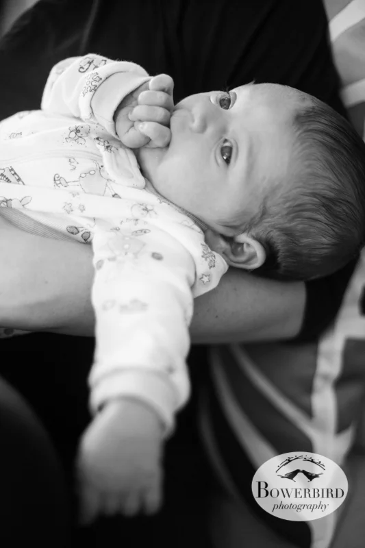 Pro hand munching! © Bowerbird Photography 2012; Newborn Photography in Albany.