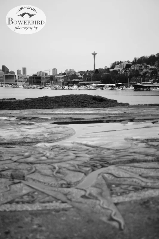 Seattle Space Needle seen from Gasworks Park sundial. © Bowerbird Photography 2013.