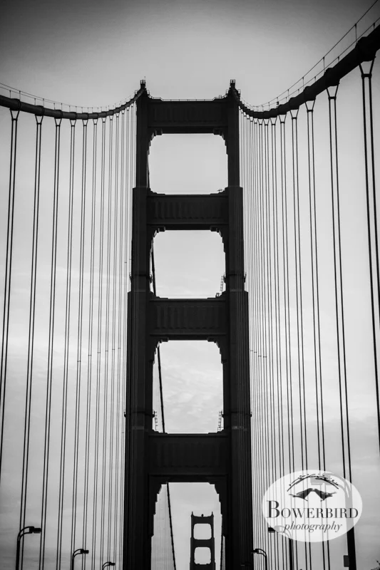 Driving home over the Golden Gate Bridge after a wonderful day in the wine country. © Bowerbird Photography 2013.