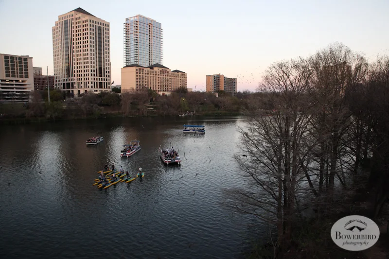 Watching the bats at sunset. © Bowerbird Photography, Austin and SXSW 2013 Photo.