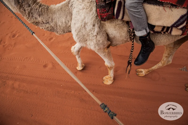Wadi Rum, Jordan. © Bowerbird Photography, 2014