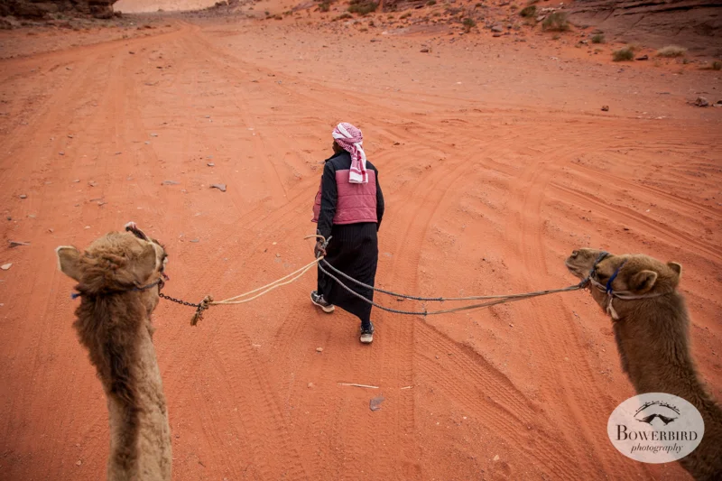 Wadi Rum, Jordan. © Bowerbird Photography, 2014