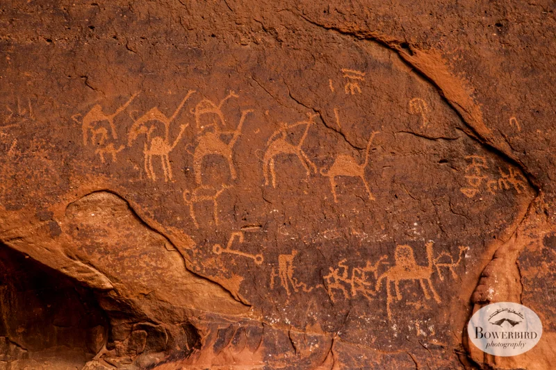 Wadi Rum, Jordan. © Bowerbird Photography, 2014