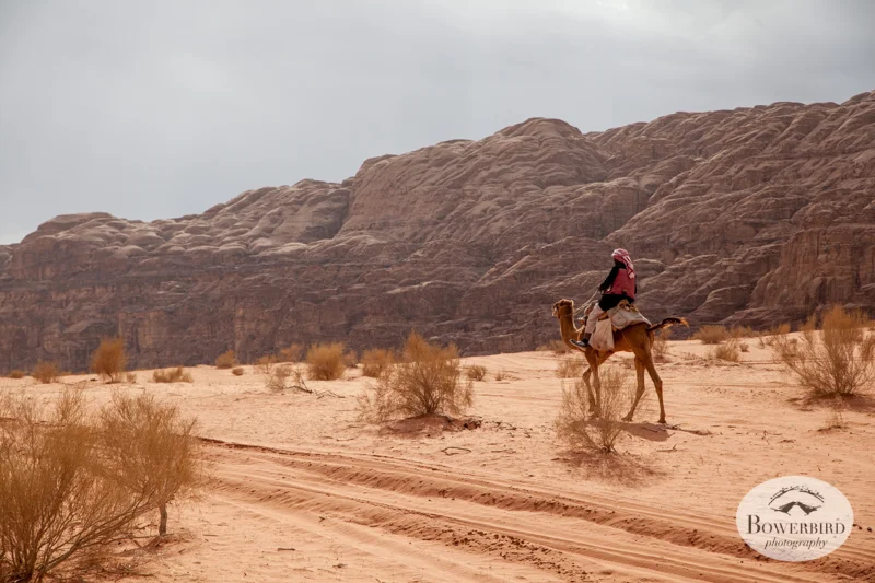 Wadi Rum, Jordan. © Bowerbird Photography, 2014