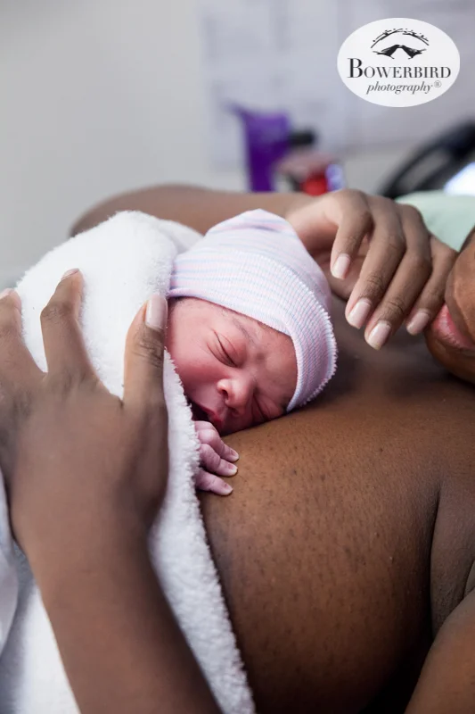 0007Marin Family Birth Center Birth Photography © Bowerbird Photography 2017.jpg