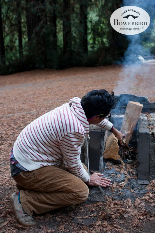 0018camping with kids in california samuel p taylor and bolinas © Bowerbird Photography 2017.jpg