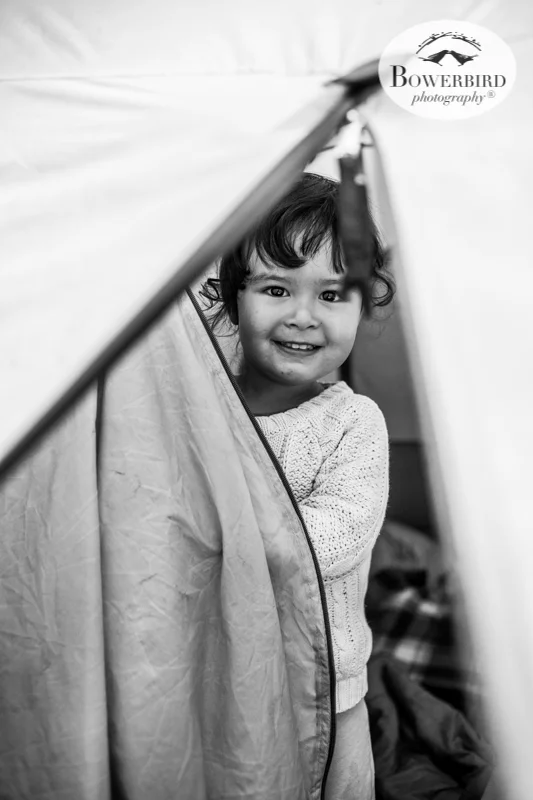 0027camping with kids in california samuel p taylor and bolinas © Bowerbird Photography 2017.jpg