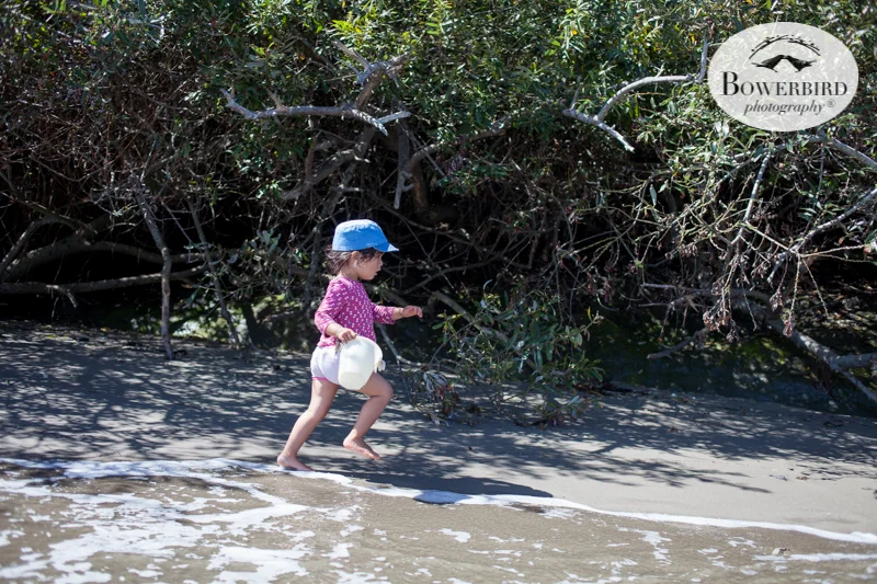 0038camping with kids in california samuel p taylor and bolinas © Bowerbird Photography 2017.jpg