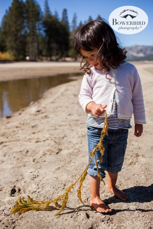 0039Tahoe Truckee Family Travel Blog © Bowerbird Photography 2017.jpg